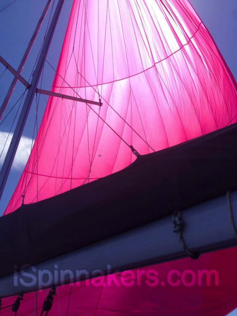 Jeanneau Sun Odyssey 36i con spinnaker asimétrico rosa